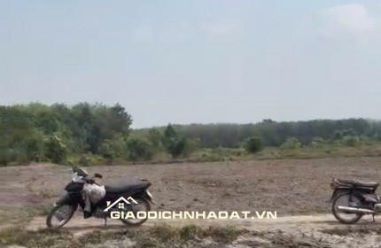 BÁN ĐẤT XÃ PHƯỚC THẠNH, TÂY NINH. 2 LÔ LIỀN KỀ. TỔNG DIỆN TÍCH 1556 M2 - SHR. LH:0786111122.
