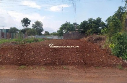 Vị trí đất cực đẹp, nằm ngay khu dân cư ổn định, đường đi lại thuận tiện. Tổng diện tích là 1352m2