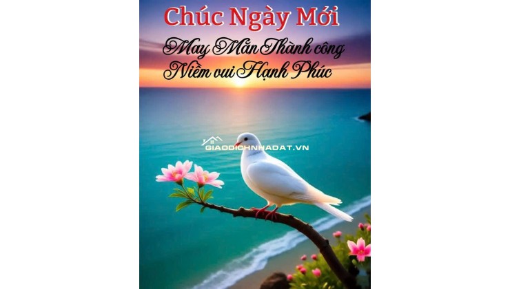 BÁN 500M ĐẤT TẠI CẦN THƠ, CÓ KHO SẲN BAO QUANH ĐẤT, MẶT TIỀN 27M, MẶT LỘ NHỰA 18M. LH:0798441899