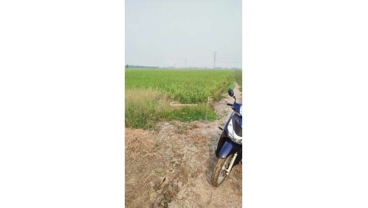 BÁN ĐẤT TÂN THẠNH, LONG AN – TDT 44000 M2 – SHR - 15 TỶ. LH:0989327777 - MR.QUỐC