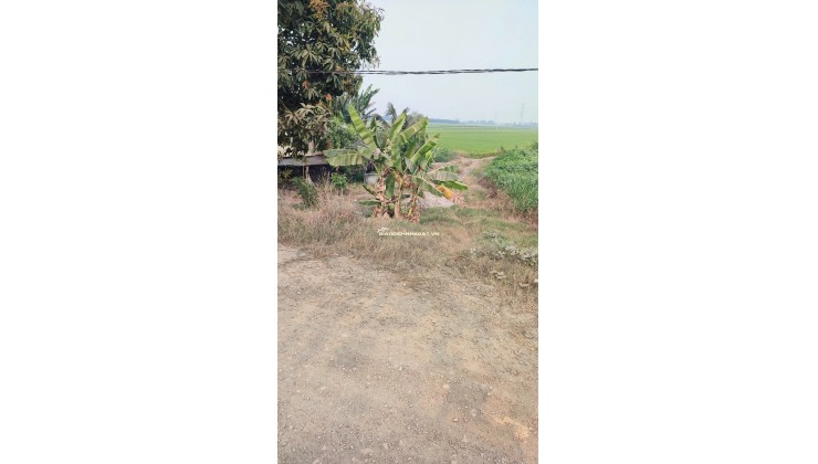 BÁN ĐẤT TÂN THẠNH, LONG AN – TDT 44000 M2 – SHR - 15 TỶ. LH:0989327777 - MR.QUỐC