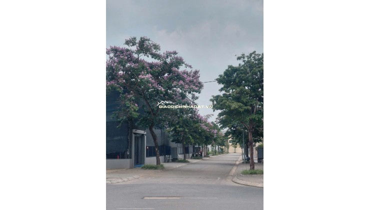 Bán Đất 250m2 Khu C - Khu đô thị Nguyên Khê - Đông Anh - Hà Nội. Giá 105tr/m2