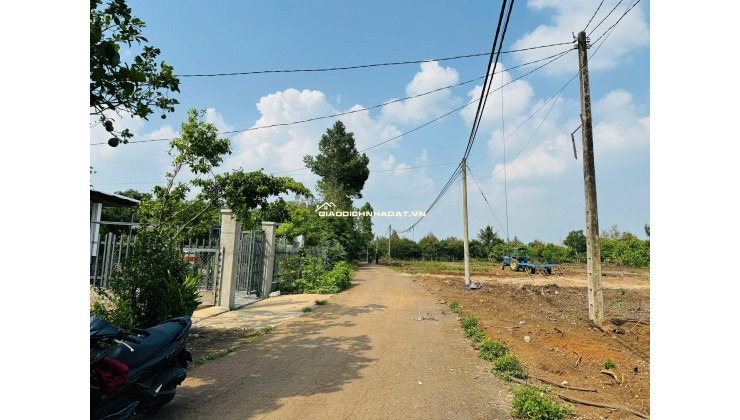 Bán Lỗ Lô Đất 350Tr Bằng Giá Ngân Hàng Cho Vay Tại Phường Bình Lộc, TP Đồng Nai