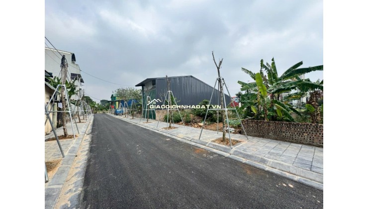 Bán Lô đất 115m2 - Làn 2 KĐT Nguyên Khê - Đông Anh - Hà Nội. Giá 95tr/m2