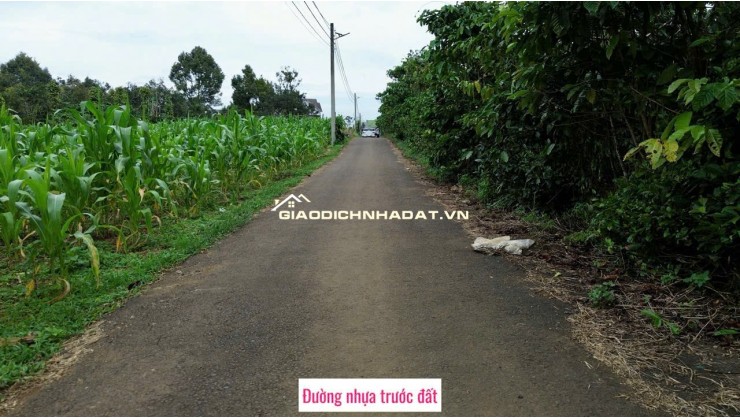Cần bán 01 lô đất tại xã Lộc Ngãi, Bảo Lâm, Lâm Đồng