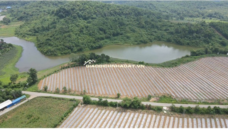 Rẻ nhất thị trường - Chỉ 3tr/m đất nghỉ dưỡng sát Hà Nội