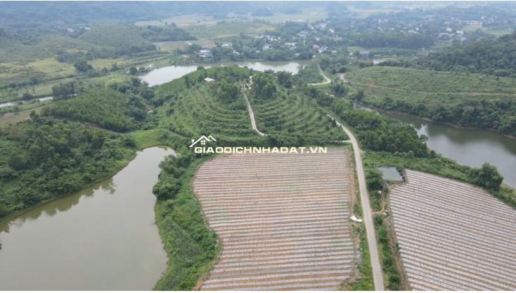 Rẻ nhất thị trường - Chỉ 3tr/m đất nghỉ dưỡng sát Hà Nội