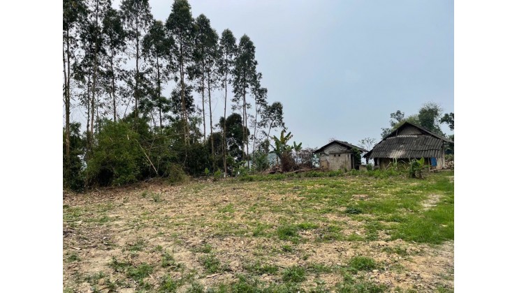 Cần bán gấp có 1.350m2 đất Homestay hồ Thác Bà - Yên Bái 1tỷ150