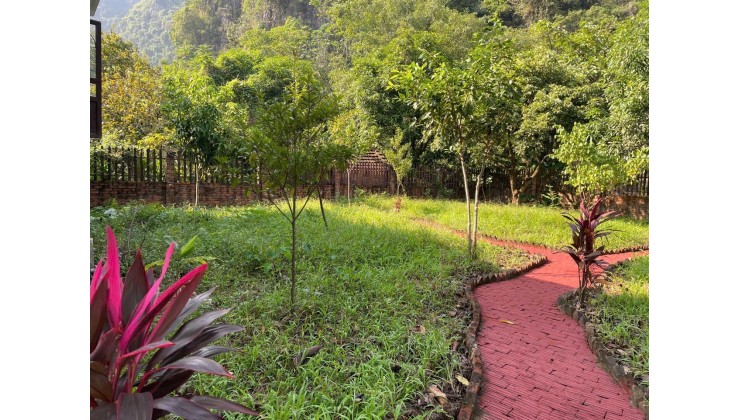 Cần bán gấp có 1.350m2 đất Homestay hồ Thác Bà - Yên Bái 1tỷ150