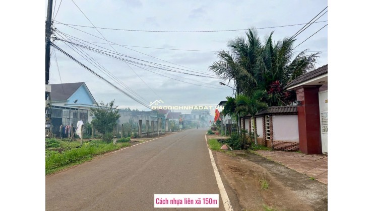 Cần bán 01 lô đất tại xã Lộc Ngãi, Bảo Lâm, Lâm Đồng