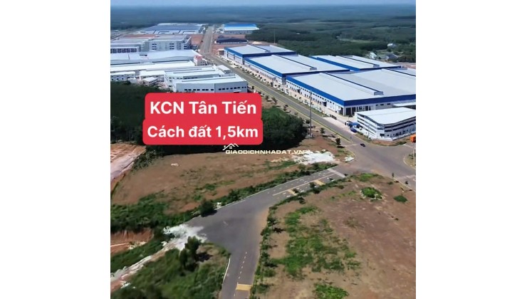 BÁN ĐẤT TÂN LỢI ĐỒNG PHÚ - FULL THỔ CƯ - SHR - GIÁ CHỈ 350TR/LÔ. LH:0363082064.