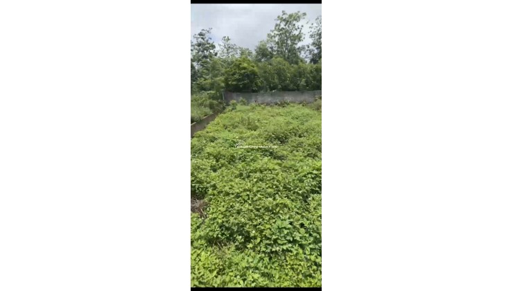 CẦN BÁN NHANH LÔ ĐẤT FULL THỔ CƯ – CẨM LĨNH, BA VÌ
