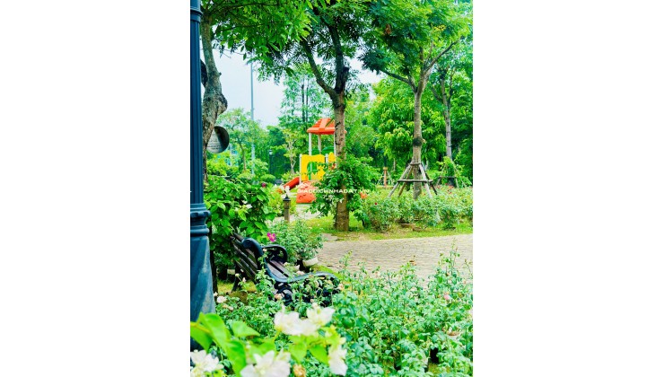  LIỀN KỀ CEOHOMES HANA GARDEN – KHÔNG GIAN SỐNG ĐA NĂNG, KHAI THÁC LINH HOẠT