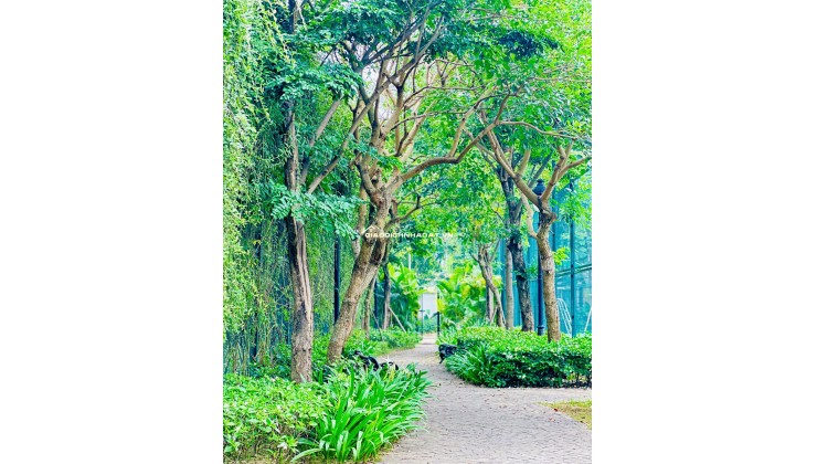  LIỀN KỀ CEOHOMES HANA GARDEN – KHÔNG GIAN SỐNG ĐA NĂNG, KHAI THÁC LINH HOẠT