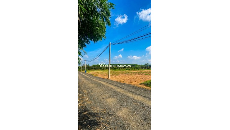 Đất Thành Tâm Chơn Thành 330m2 Mặt Đường Ô Tô – Sổ Sẵn 899 Triệu