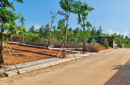 TÍCH SẢN VÀNG: ĐẤT MT QL18 ĐẠI YÊN – ĐÓN SÓNG QUẢNG NINH LÊN TW 2026 & SIÊU DỰ ÁN VIN