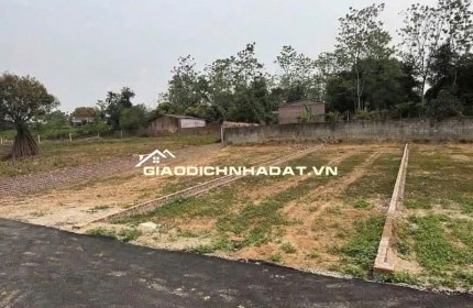 CẦN BÁN NHANH LÔ ĐẤT FULL THỔ CƯ – CẨM LĨNH, BA VÌ