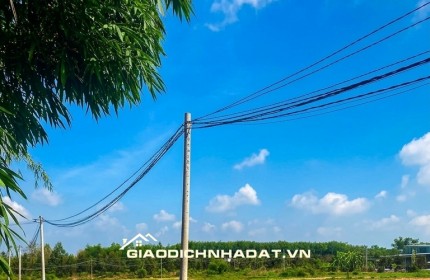 Đất Thành Tâm Chơn Thành 330m2 Mặt Đường Ô Tô – Sổ Sẵn 899 Triệu