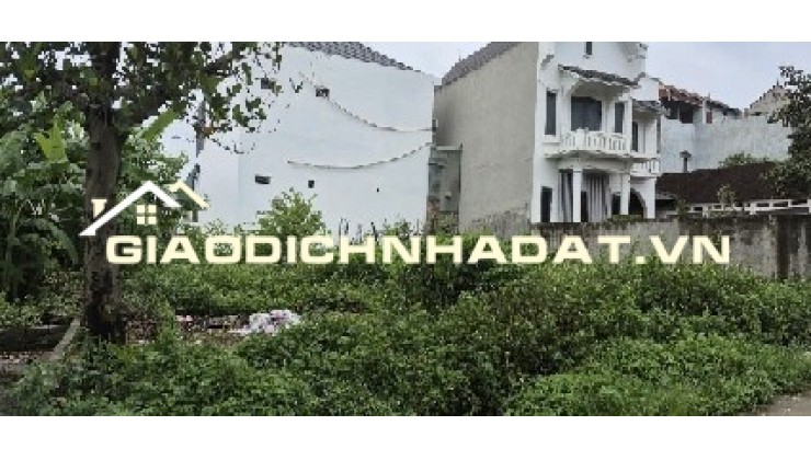 BÁN LÔ ĐẤT 85,6 m2 ĐÔNG YÊN - QUỐC OAI - SỔ ĐỎ MỚI CẤP 2024 - NỞ HẬU