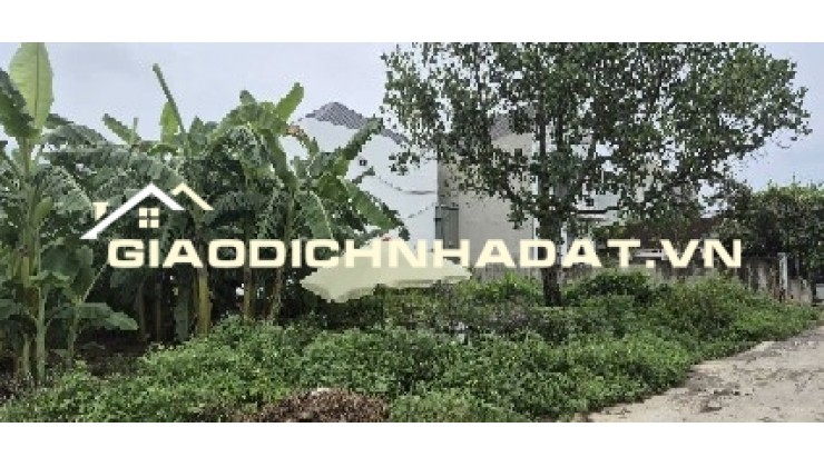 Bán đất chính chủ tại Đội 1, thôn Đông Hạ, xã Đông Yên, huyện Quốc Oai, Hà Nội.