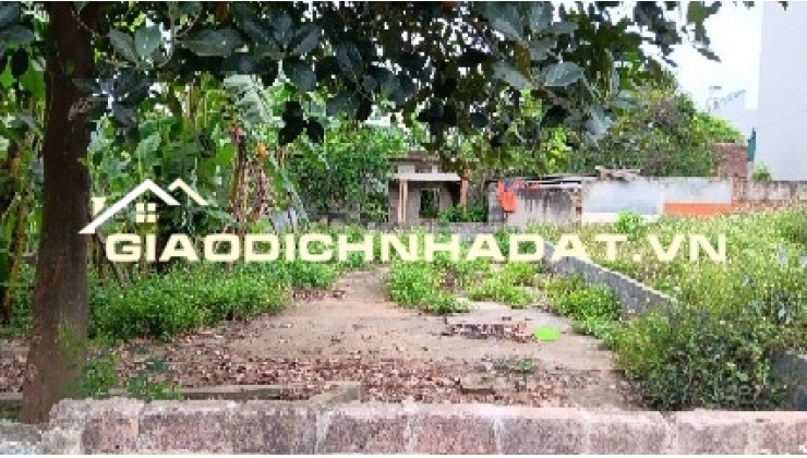 Bán đất chính chủ tại Đội 1, thôn Đông Hạ, xã Đông Yên, huyện Quốc Oai, Hà Nội.