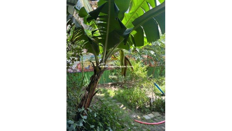 BÁN TRƯỜNG MẦN NON THÔN GÒ SẠN, XÃ BẮC PHONG, HUYỆN THUẬN BẮC. LH:0906000199.