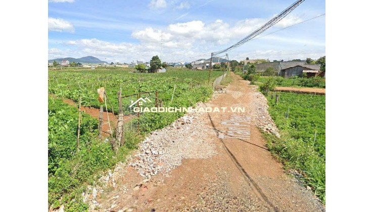 Bán Đất 369m²  5 tỷ Gần TT Hành Chính Đức Trọng, Lâm Đồng - Sổ Riêng