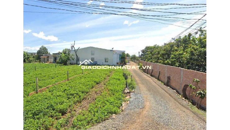 Bán Đất 369m²  5 tỷ Gần TT Hành Chính Đức Trọng, Lâm Đồng - Sổ Riêng