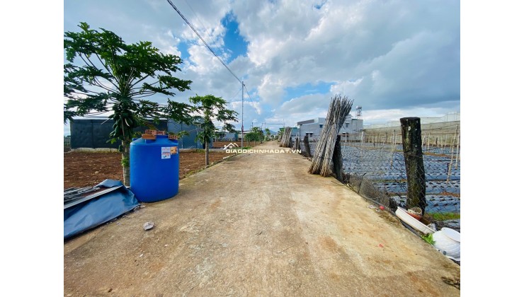 Bán đất 112,5m² Liên Nghĩa, Đức Trọng, Lâm Đồng – Gần trung tâm hành chính, giá 1,2 tỷ