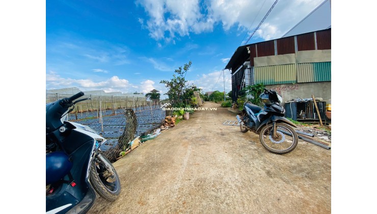 Bán đất 112,5m² Liên Nghĩa, Đức Trọng, Lâm Đồng – Gần trung tâm hành chính, giá 1,2 tỷ