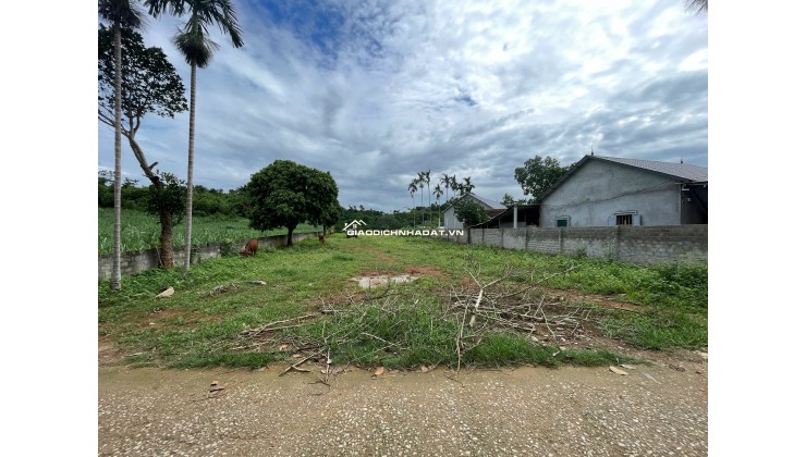  BÁN 3.000m² ĐẤT NGHỈ DƯỠNG KIM BÔI – 1.110m² THỔ CƯ 