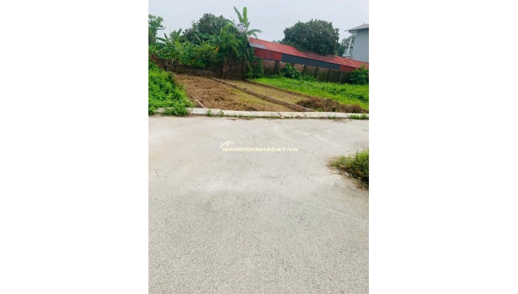 Bán đất tại Thôn Lò Nồi, 1,7 tỷ, 75,4 m2, giá siêu hời, uy tín