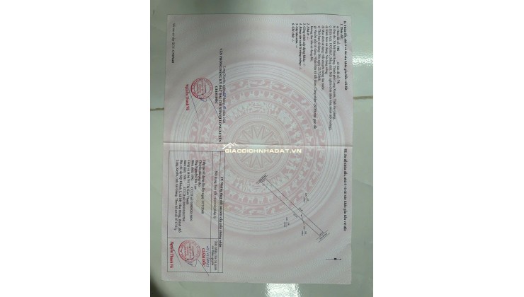 BÁN ĐẤT 3 CÔNG ĐẤT XÃ MỸ HOÀ HƯNG, TP LONG XUYÊN SHR CHỈ 750 TRIỆU. LH:0977226448