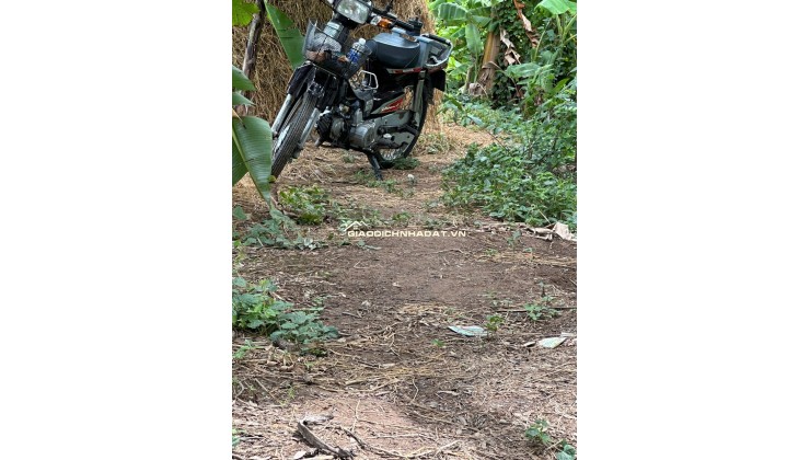 BÁN ĐẤT 3 CÔNG ĐẤT XÃ MỸ HOÀ HƯNG, TP LONG XUYÊN SHR CHỈ 750 TRIỆU. LH:0977226448