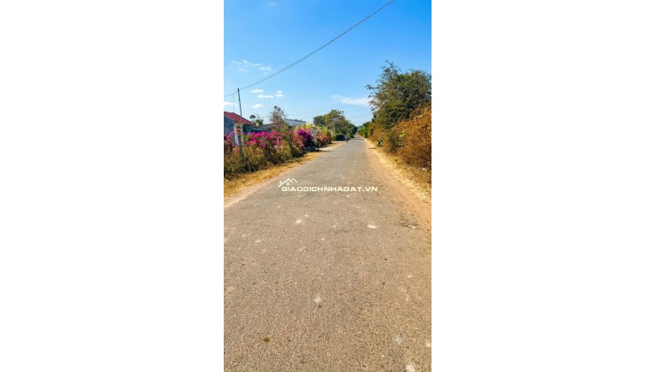 CƠ HỘI ĐẦU TƯ FO 6.560M² - PHỦ HỒNG, SẴN 199M² THỔ CƯ, CHỈ 5.5 TỶ. LH:0368286139