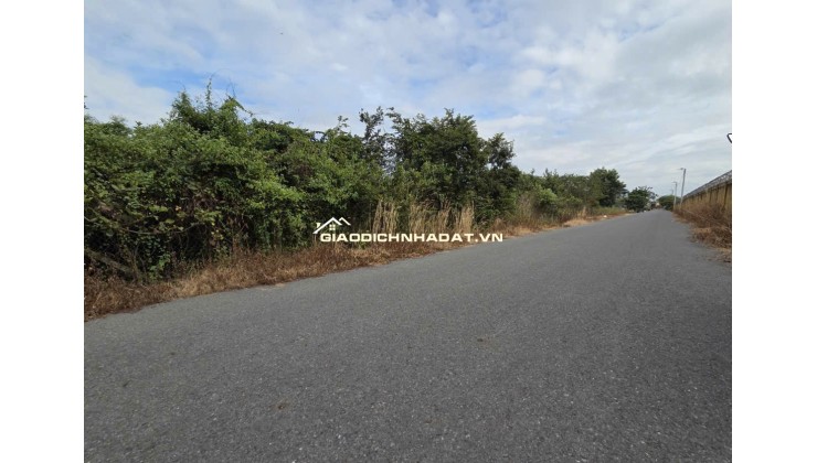 BÁN 1732 M² ĐẤT ĐƯỜNG PHẠM VĂN CỘI CỦ CHI. LH:0395644533