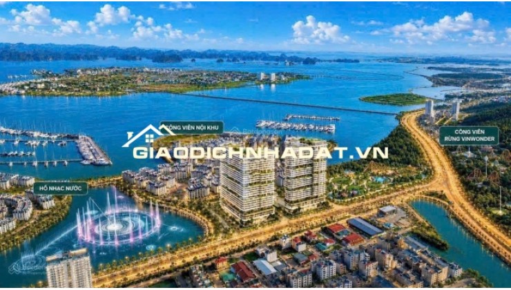 1,5 tỷ Full VAT anh/chị sở hữu ngay căn hộ Mặt Biển View Vịnh Hạ Long