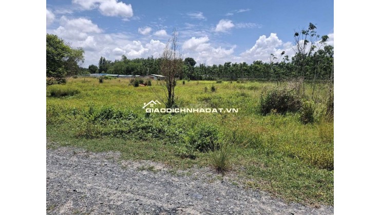 CHÍNH CHỦ CẦN BÁN LÔ ĐẤT NÔNG NGHIỆP 1011,8m2 TẠI CHÂU THÀNH - TÂY NINH