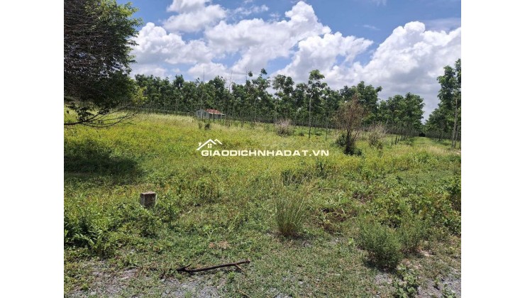 CHÍNH CHỦ CẦN BÁN LÔ ĐẤT NÔNG NGHIỆP 1011,8m2 TẠI CHÂU THÀNH - TÂY NINH