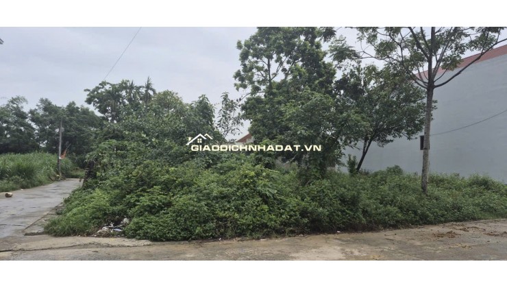 BÁN 85,6 m² ĐẤT ĐÔNG YÊN, QUỐC OAI - SỔ ĐỎ CHÍNH CHỦ