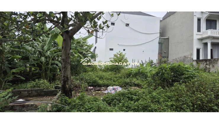 BÁN 85,6 m² ĐẤT ĐÔNG YÊN, QUỐC OAI - SỔ ĐỎ CHÍNH CHỦ