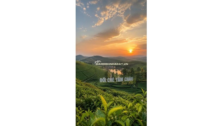 bán villa nghỉ dưỡng cạnh hồ ngọc, có tiện ích nội khu, đơn vị vận hành cho thuê. 0358087934