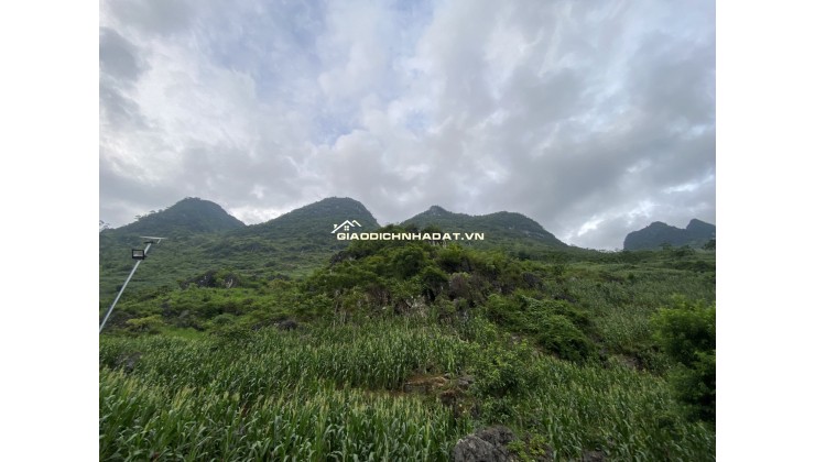 ĐẤT ĐẸP LÀM NHÀ HÀNG, KHÁCH SẠN, KHU DU LỊCH TẠI HÀ GIANG – 3800M2 - 2.8 TỶ. LH:0985836678.