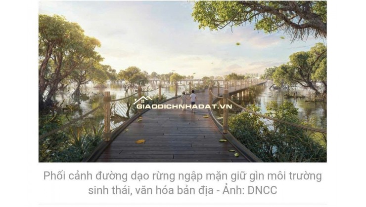 Biệt thự Coastal Quảng Ngãi có nên mua?