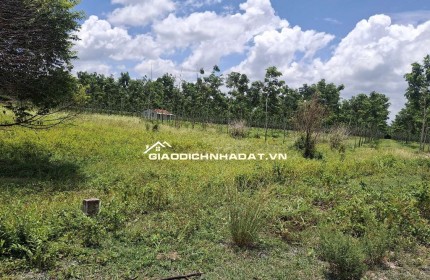 CHÍNH CHỦ CẦN BÁN LÔ ĐẤT NÔNG NGHIỆP 1011,8m2 TẠI CHÂU THÀNH - TÂY NINH