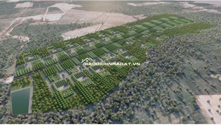 CẦN BÁN 40 HA ĐẤT QUY HOẠCH ĐẤT Ở NÔNG THÔN – VEN HỒ DẦU TIẾNG