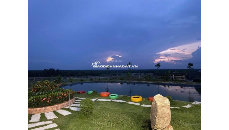 CẦN BÁN 40 HA ĐẤT QUY HOẠCH ĐẤT Ở NÔNG THÔN – VEN HỒ DẦU TIẾNG