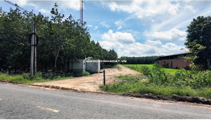 ĐẤT BẾN CẦU TÂY NINH 11.282M2 CHỈ 3TY5, VỊ TRÍ ĐẸP, SỔ TRAO TAY. CHÍNH CHỦ 0988882003.