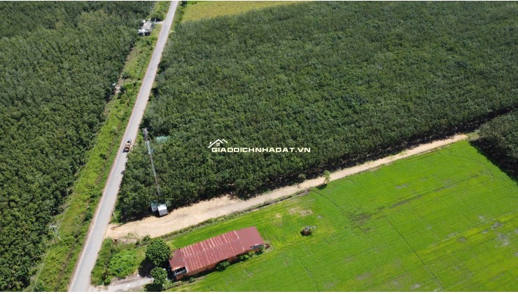 ĐẤT BẾN CẦU TÂY NINH 11.282M2 CHỈ 3TY5, VỊ TRÍ ĐẸP, SỔ TRAO TAY. CHÍNH CHỦ 0988882003.
