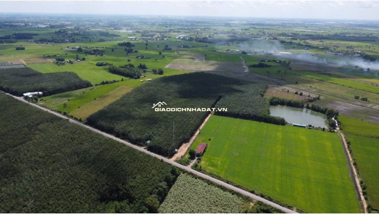 ĐẤT BẾN CẦU TÂY NINH 11.282M2 CHỈ 3TY5, VỊ TRÍ ĐẸP, SỔ TRAO TAY. CHÍNH CHỦ 0988882003.